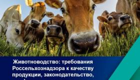 Животноводство: требования Россельхознадзора к качеству продукции, законодательство, информационные системы, ветеринарный контроль