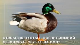 БПРУ РК «Дирекция ООПТ» в преддверии открытия охоты в осенне-зимний сезон 2024 – 2025 гг. на ООПТ регионального значения доводит следующую информацию: