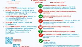  Социальный контракт по поиску работы