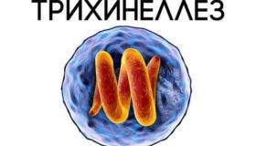 Уважаемый охотник!