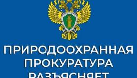 КАРЕЛЬСКАЯ МЕЖРАЙОННАЯ ПРИРОДООХРАННАЯ ПРОКУРАТУРА РАЗЪЯСНЯЕТ