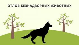 Вниманию владельцев животных!